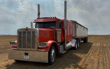 Photo of a 1995 Peterbilt 379 Flat Top Sleeper for sale