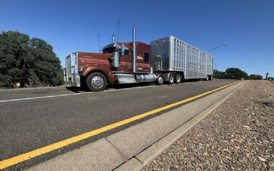 Photo of a 2024 Kenworth W900L for sale