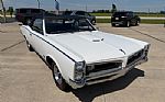 1966 GTO Thumbnail 5