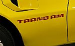 1979 TRANS AM Thumbnail 5