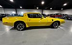 1979 TRANS AM Thumbnail 44