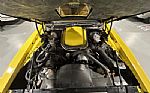 1979 TRANS AM Thumbnail 53