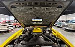 1979 TRANS AM Thumbnail 59
