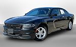 2019 Charger Thumbnail 12