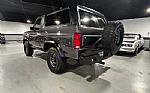 1981 Bronco Thumbnail 19
