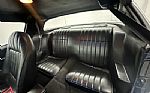 1979 Trans Am Thumbnail 20