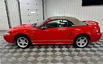2000 Mustang Thumbnail 4