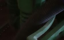 Photo of a 1996 12 ROW Planter for sale