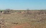2024 162 Acres Thumbnail 5