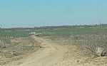 2024 162 Acres Thumbnail 6