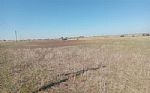 2024 162 Acres Thumbnail 7