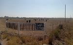 2024 162 Acres Thumbnail 10