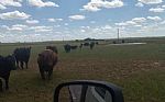 2024 162 Acres Thumbnail 12