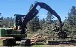 2009 2454D Thumbnail 16