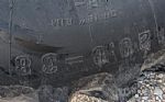 1991 4455 Thumbnail 11