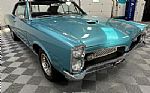 1967 GTO Thumbnail 5