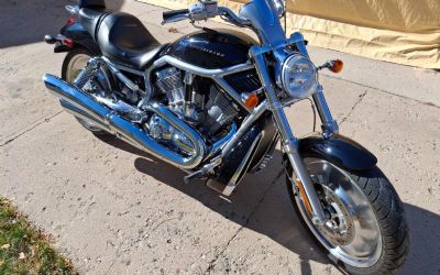 Photo of a 2004 Harley-Davidson V-ROD 1130 CC Motor for sale