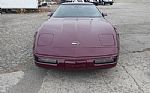 1993 Corvette Thumbnail 5
