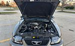 2001 Mustang Thumbnail 14