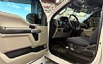 2019 F150 Thumbnail 12