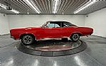 1966 GTO Thumbnail 4