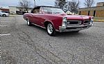 1966 GTO Thumbnail 4