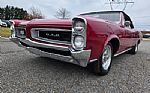 1966 GTO Thumbnail 13