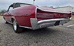1966 GTO Thumbnail 16