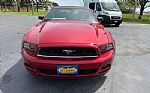 2013 Mustang Thumbnail 2
