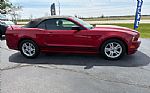 2013 Mustang Thumbnail 6