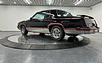 1983 Hurst Thumbnail 77