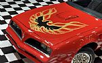 1977 Firebird Trans Am Thumbnail 10