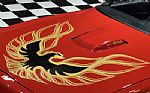 1977 Firebird Trans Am Thumbnail 11