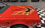 1977 Firebird Trans Am Thumbnail 33