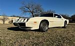 1979 Firebird Trans Am Thumbnail 2