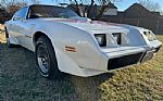 1979 Firebird Trans Am Thumbnail 13