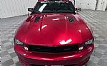 2006 Mustang Thumbnail 4