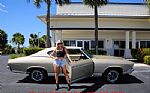 1969 Chevelle Thumbnail 12