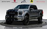 2023 F-150 Thumbnail 1