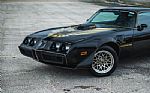 1979 Firebird Thumbnail 3