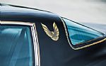 1979 Firebird Thumbnail 10