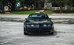 1979 Firebird Thumbnail 33