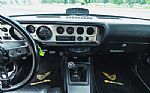 1979 Firebird Thumbnail 43