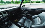 1979 Firebird Thumbnail 44