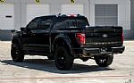2025 F-150 Thumbnail 10