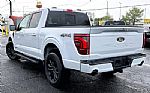 2025 F-150 Thumbnail 5