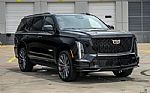 2025 Escalade Thumbnail 24