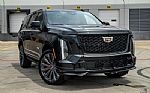 2025 Escalade Thumbnail 25
