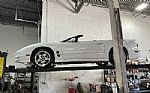 2002 Firebird Thumbnail 89