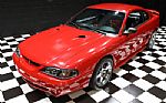 1997 Mustang SVT Cobra Thumbnail 6
